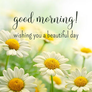 Meet your Posher, Khady